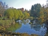 dbax1031_0068-herbststimmung_lahnberg