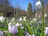 dbay0321048-fruehling_im_botan-garten