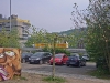 dbay0429_0018-affoellerwiesen