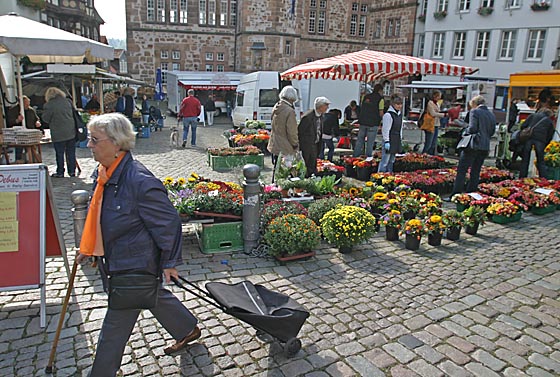 dbax0918_0006-wochenmarkt