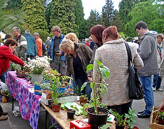 Y0430 Pflanzen-Flohmarkt Bot.Garten