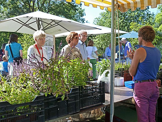 Pflanzenmarkt im Botanischen Garten 2012 – eine erfolgreiche Veranstaltung des Hessischen Gärtnerverbandes. Foto Hartwig Bambey
