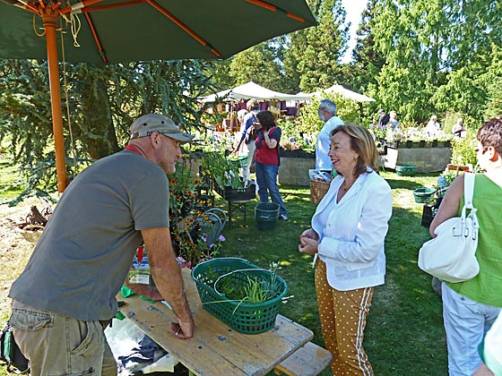 dbaz0908_0017-Pflanzenmarkt