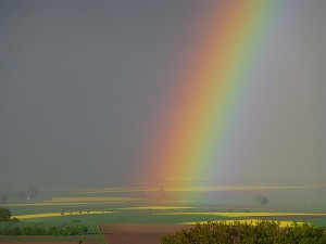 dbau0512_0033-Regenbogen