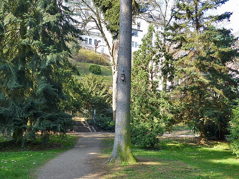 dbav0314_0030-Alter Botanischer Garten