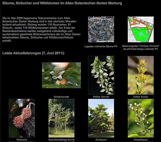 Pflanzendokumentation ABG
