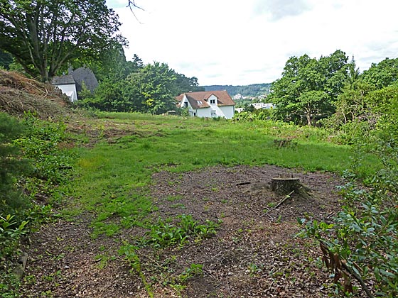 dbau0610-Rabenstein