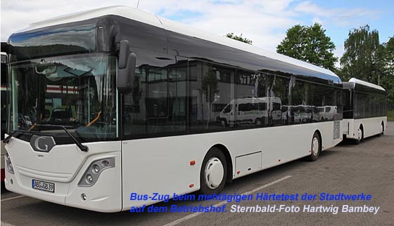Bus-Zug Sternbald-Foto Hartwig Bambey 2014