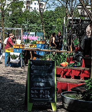 Urban Gardening Foto Nora Ackermann