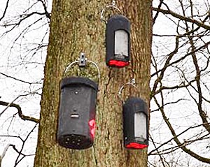 Fledermauskästen sind unterschiedlich groß, damit sie auch von den verschiedenen Fledermausarten angenommen werden. Foto Tina Eppler