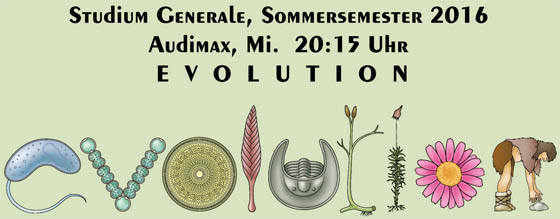 Studium Generale Evolution