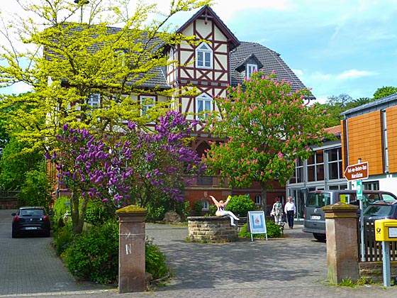 Blühender Flieder und Kastanie vor Fachwerkkulisse in Willingshausen und mittendrin eine Nana. Sternbald-Fotografien von Hartwig Bambey © 2016