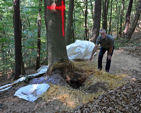 Die kontrollierte Sprengung einer 50-Kilo-Bombe aus dem Zweiten Weltkrieg lief laut Gerhard Gossens, Leiter des Kampfmittelräumdienstes, optimal. Das Foto zeigt den entstandenen Krater. Foto Sabine Preisler