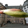Sommertraum, Sommerloch, Sommerthemen