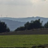 Stromerzeugung aus Biomasse  Bericht erschienen