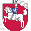 Stadtpolitik, Fraktionen und Stadtverordnetenversammlung