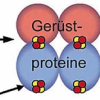 Zellforscher identifizieren neuen Biosynthese-Mechanismus