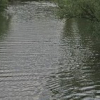 Renaturierung an der Lahn in Wehrda