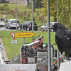 Unfall auf der B3, Stau und Staubeobachter