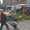 Ideen für Wochenmarkt auf dem Marktplatz gesucht