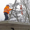 DVAG Großbaustelle mit Großkran und großem Baufortschritt