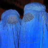 Rechtsgespräche über Burka, Kopftuch und Grundgesetz