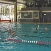 Hessische Meisterschaften und Jahrgangsmeisterschaften im Europabad Wetzlar