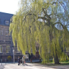 Stadtraum Marburg im Frühling