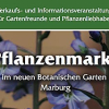 Blütenmeer mit Tausenden Blumen und Pflanzen im Neuen Botanischen Garten Marburg Ende Mai