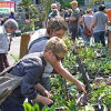 Pflanzenflohmarkt im Botanischen Garten am 28. April
