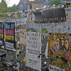 Global Village und Marburg