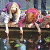 Märkte, Menschen, Konzerte, Führungen und sogar eine Grüne Schule – Was wird denn nun aus dem Botanischen Garten auf den Lahnbergen?