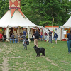 7. Bildungsfest auf den Lahnwiesen startet am 12. Juni