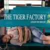Tiger Factory als Filmangebot zum Weltgebetstag der Frauen