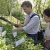 Ansturm und starkes Kaufinteresse beim Pflanzenmarkt im Botanischen Garten