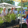 Argumente zum Erhalt der Ausbildungsplätze im Botanischen Garten – übermittelt von einer Berufsschullehrerin aus Kirchhain