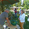 Herbstlicher Pflanzenmarkt im Botanischen Garten mit praller Sommersonne