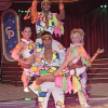 Cirkusakrobatik und Tierdressuren mit viel Exotik – Eine Bildreportage vom Circus Probst in Marburg