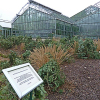 Vom drohenden Untergang des Botanischen Gartens und Schweigen der Präsidentin