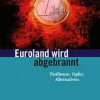 Lucas Zeise über Ursachen, Hintergründe und Auswirkungen der Eurokrise