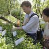 Botanische Vielfalt und Farbenpracht auf den Lahnbergen: Pflanzenmarkt Ende Mai macht wieder Lust auf bunte Gärten