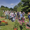 Pflanzenmarkt im Botanischen Garten mit Fokus auf Bienenpflanzen