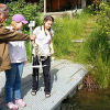 Tauchgang im Niederweimarer See