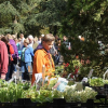 Pflanzenmarkt zeigt Profil – Leserbrief zum Artikel  „Pflanzenmarkt zeigt Schwächen“