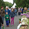 Zwei Tage Pflanzenmarkt im Botanischen Garten