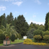 Bäume der Jahre – Führung im Botanischen Garten am 7. September