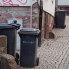 Mikrochips für Mülltonnen in der Oberstadt