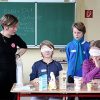 Auf den Spuren der Milchkuh – Welttierschutzgesellschaft holt mit Schulprojekt die Kuh in den Unterricht