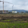 Es war einmal ein Wald – Nach der Vitos-Rodung in Marburg