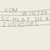 Bastian Schneider liest „Vom Winterschlaf der Zugvögel“